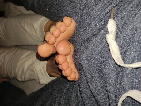 Bub_alti