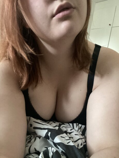 Chubby_Kitty