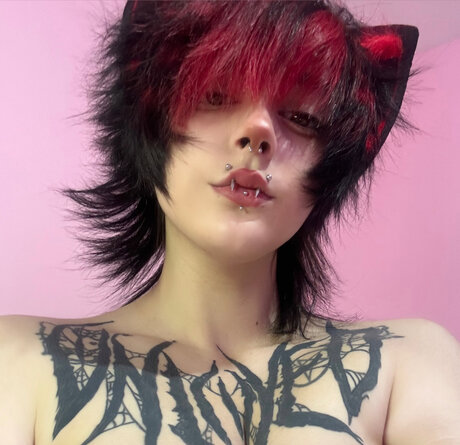 。*♡Kitty✧*。